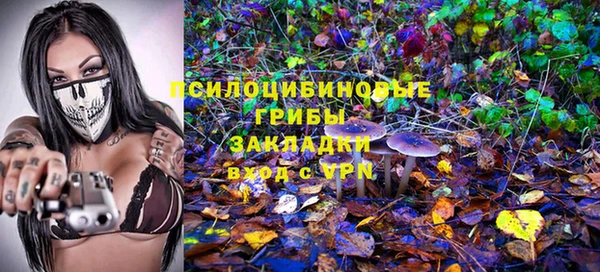 сатива Алексеевка